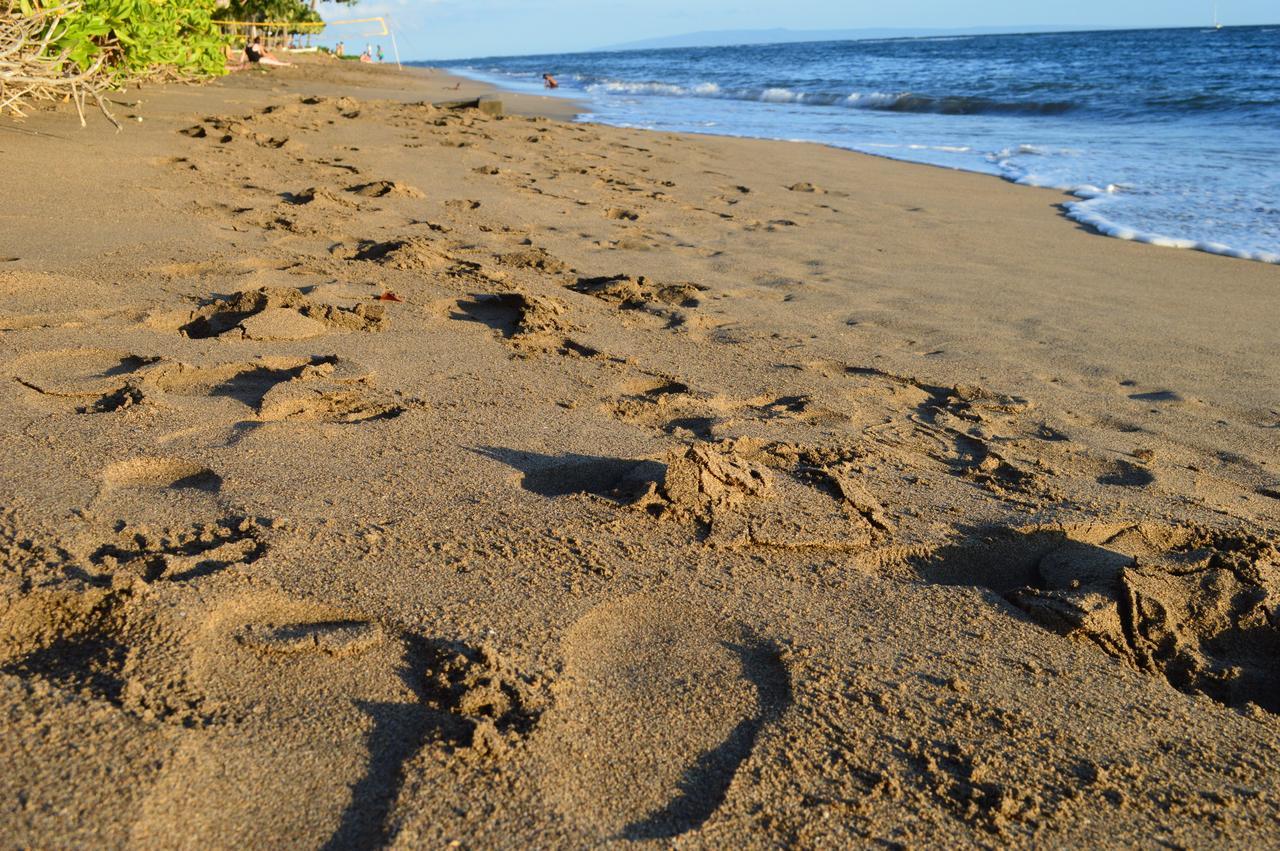 The Lahaina Beach House Hostel Luaran gambar