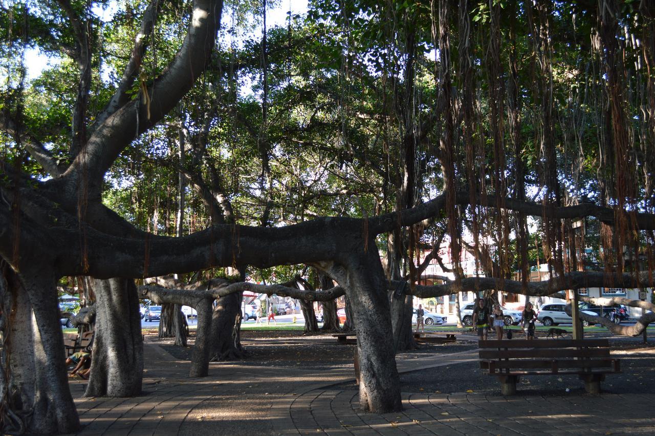 The Lahaina Beach House Hostel Luaran gambar